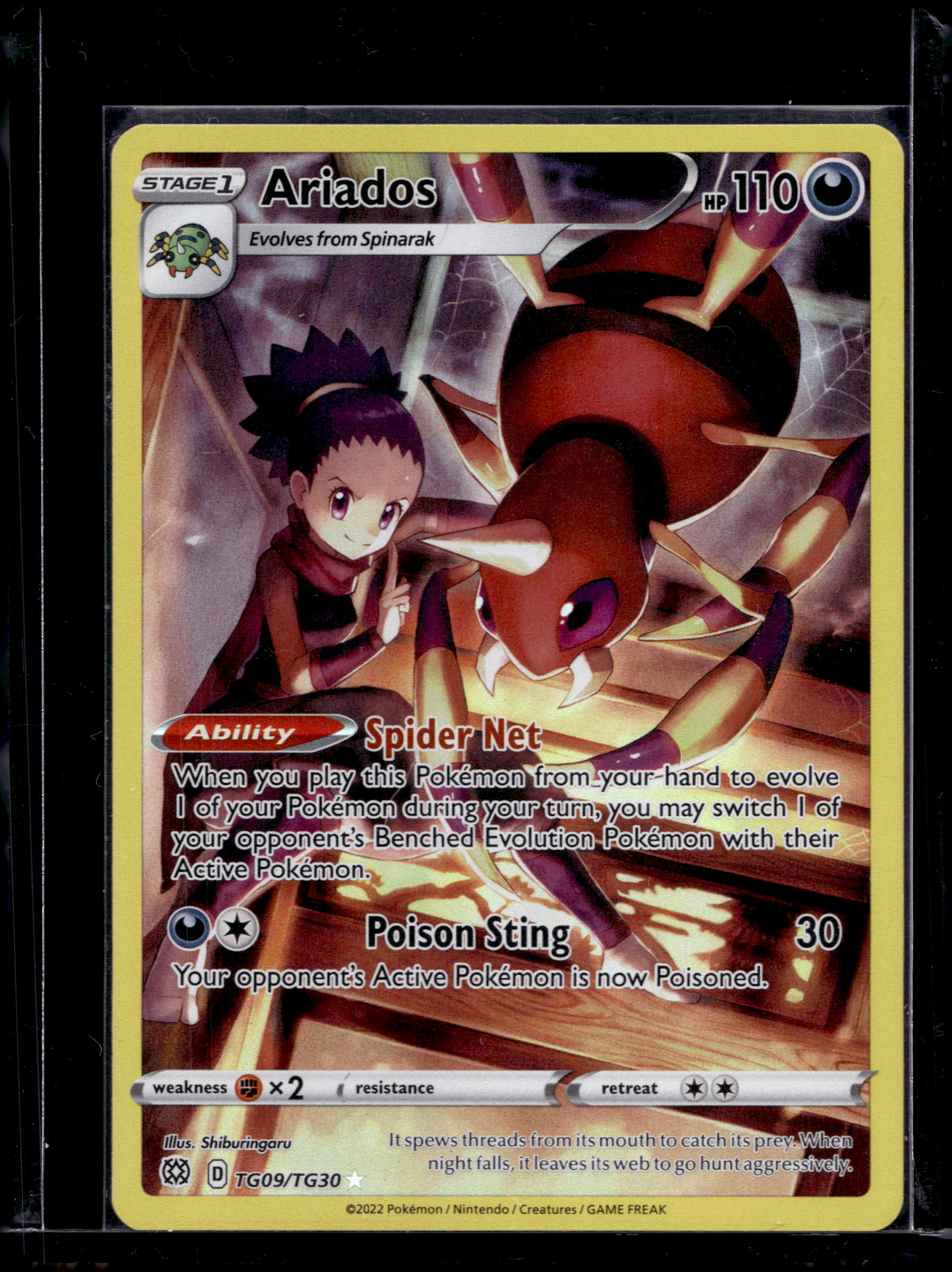 Ariados TG09/TG30 Raw RookieLegends