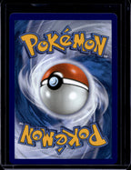 Mega Zygarde ex 120/088 Raw RookieLegends