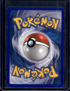 Blaziken 1/17 Raw RookieLegends