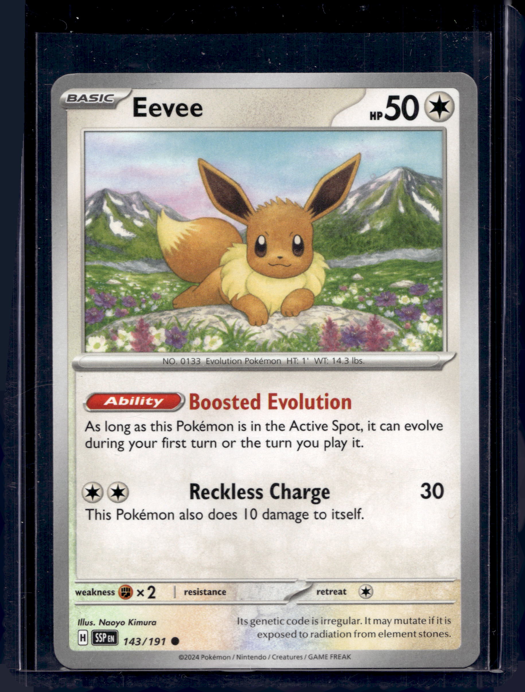 Eevee 143/191 Raw RookieLegends