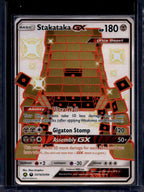 Stakataka GX SV74/SV94 Raw