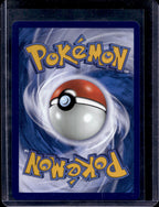 Pikachu 379/S-P Raw RookieLegends