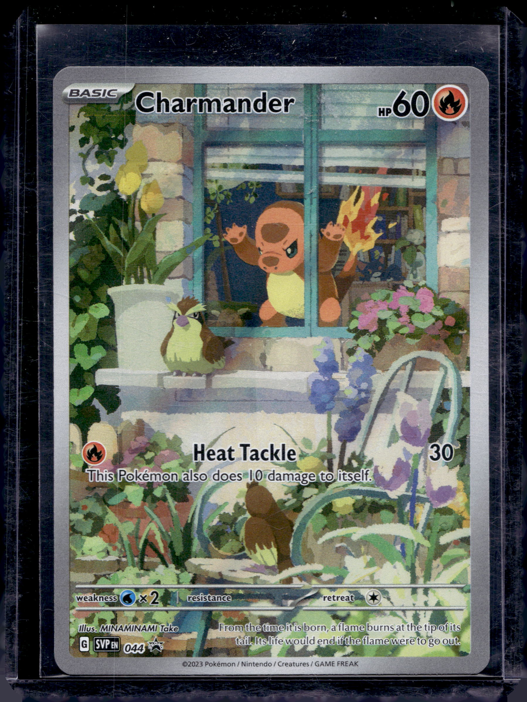 Charmander 044 Raw RookieLegends