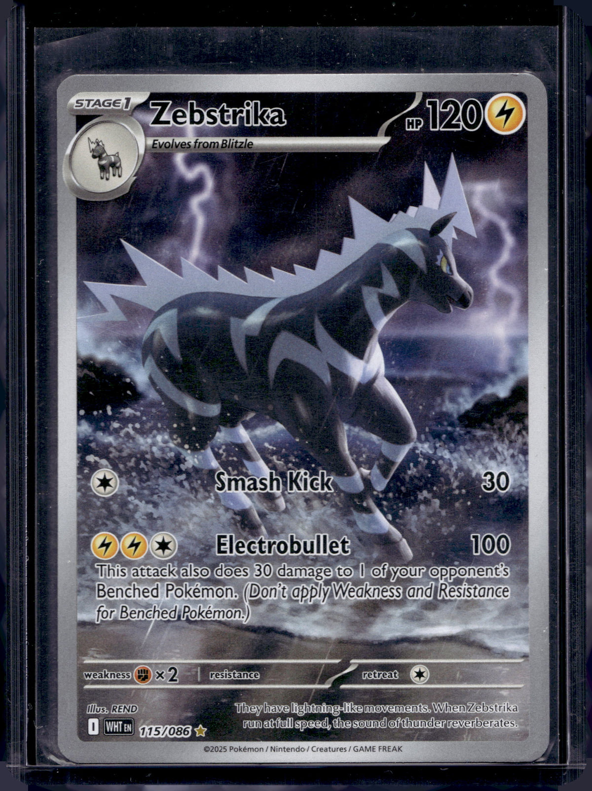 Zebstrika 115/086 Raw