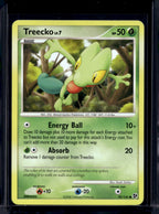 Treecko 90/106 Raw