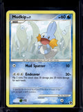 Mudkip 80/106 Raw