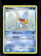 Mudkip 80/106 Raw