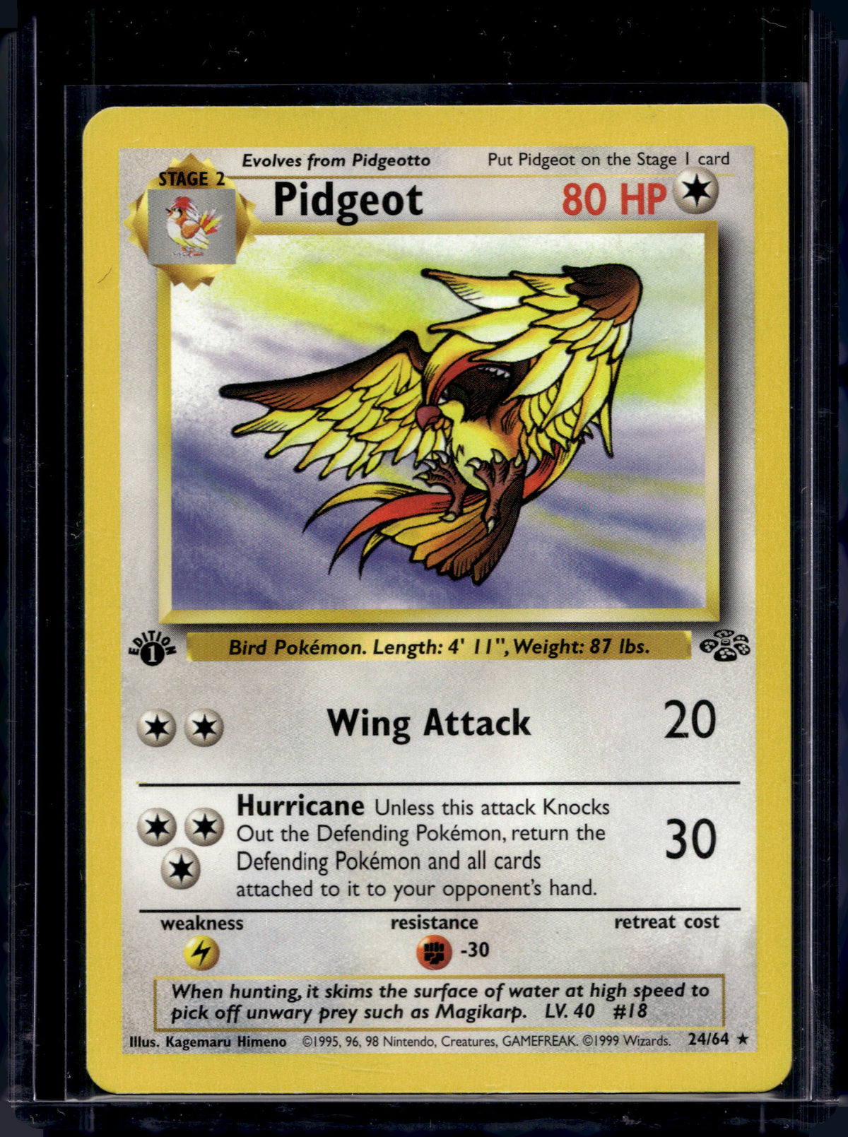 Pidgeot (Jungle - 1st Edition Common) 24/64 Raw