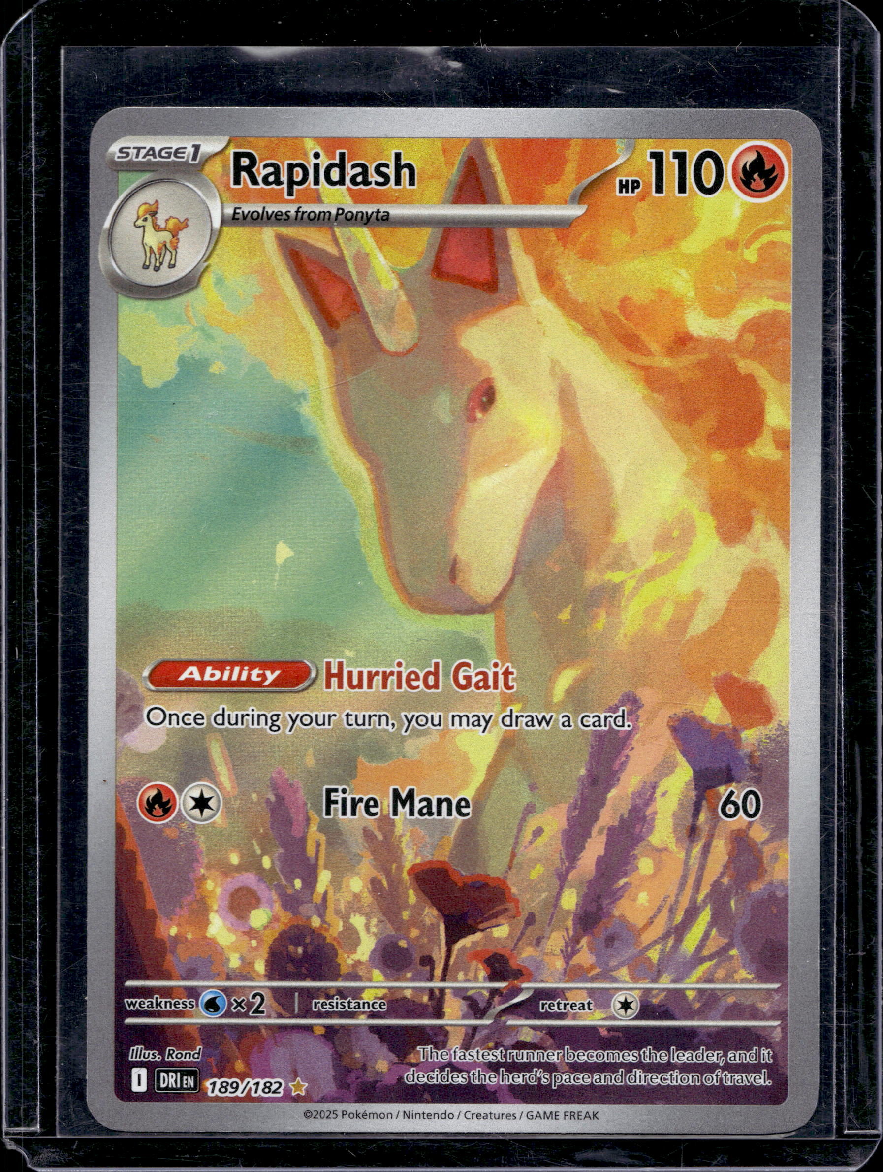 Rapidash 189/182 Raw RookieLegends