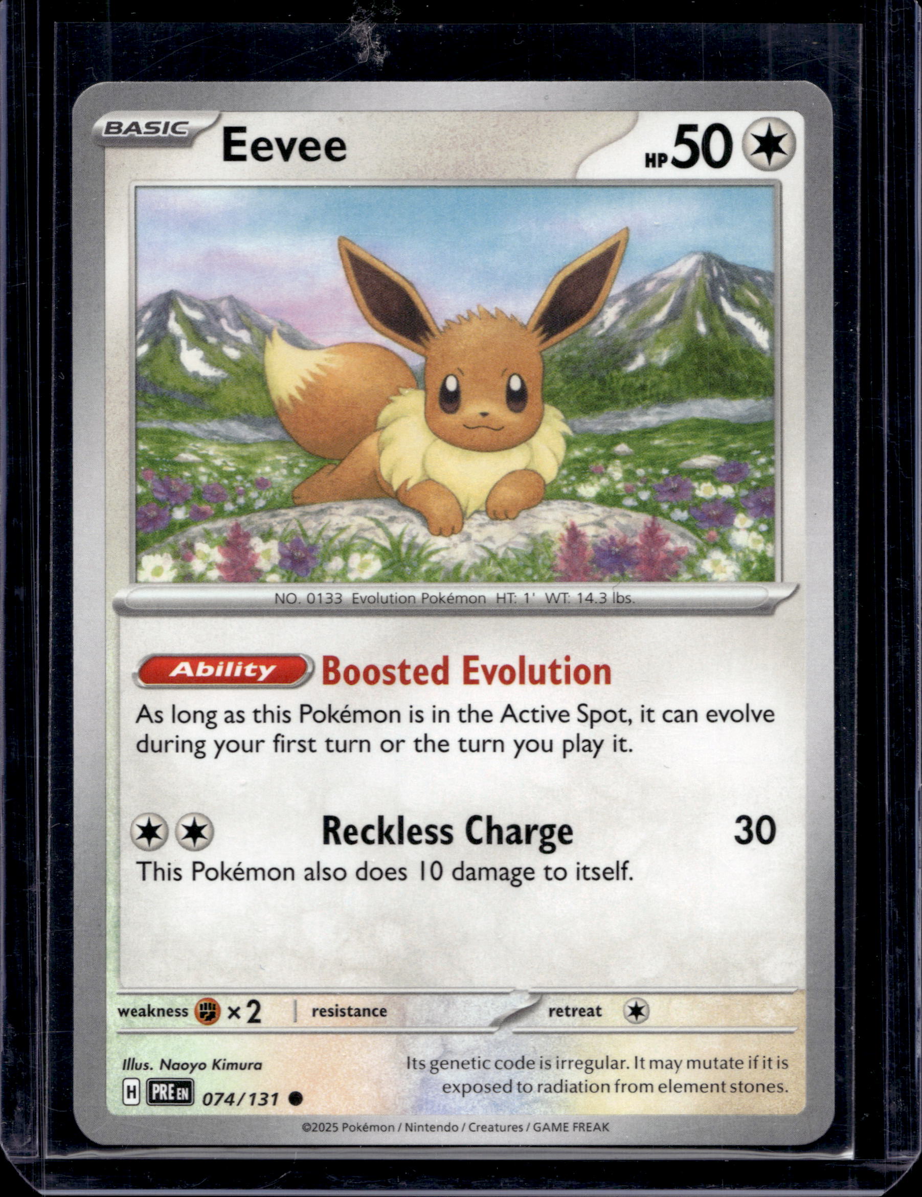 Eevee 074/131 RookieLegends