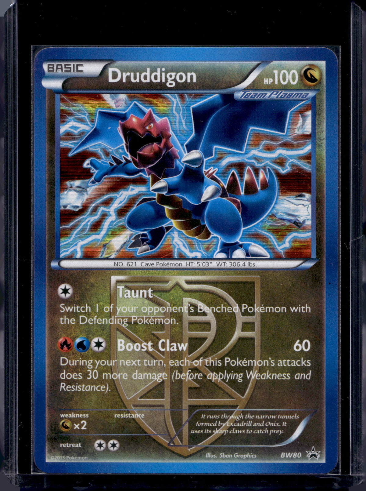 Druddigon (Team Plasma) - Holofoil - BW80 Raw