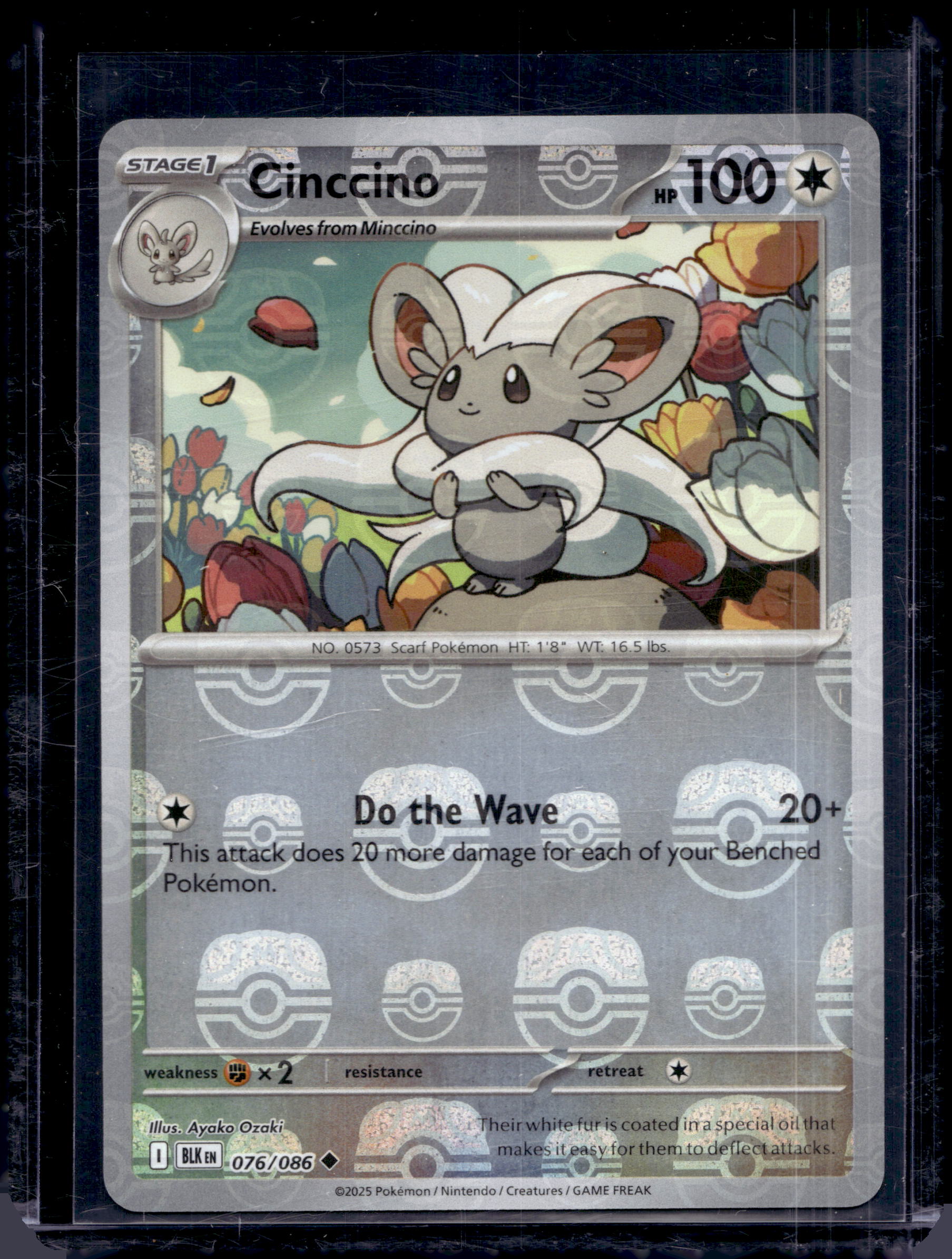Cinccino (Master Ball Pattern) 076/086 Raw