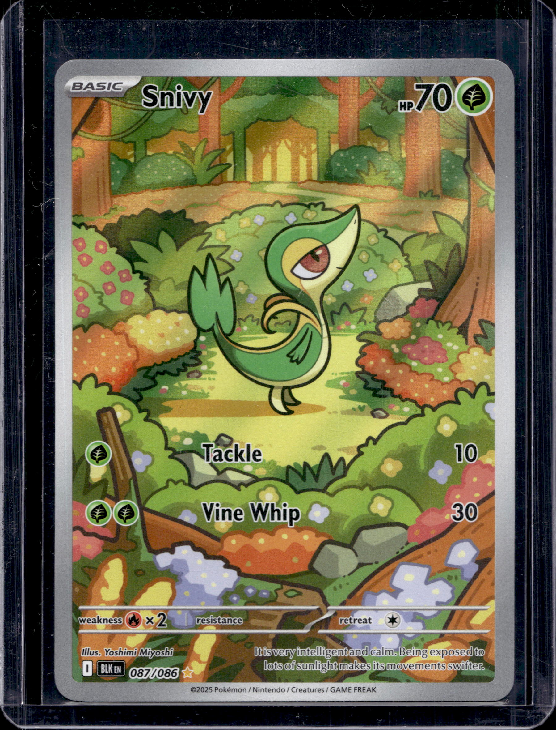 Snivy 087/086 Raw RookieLegends