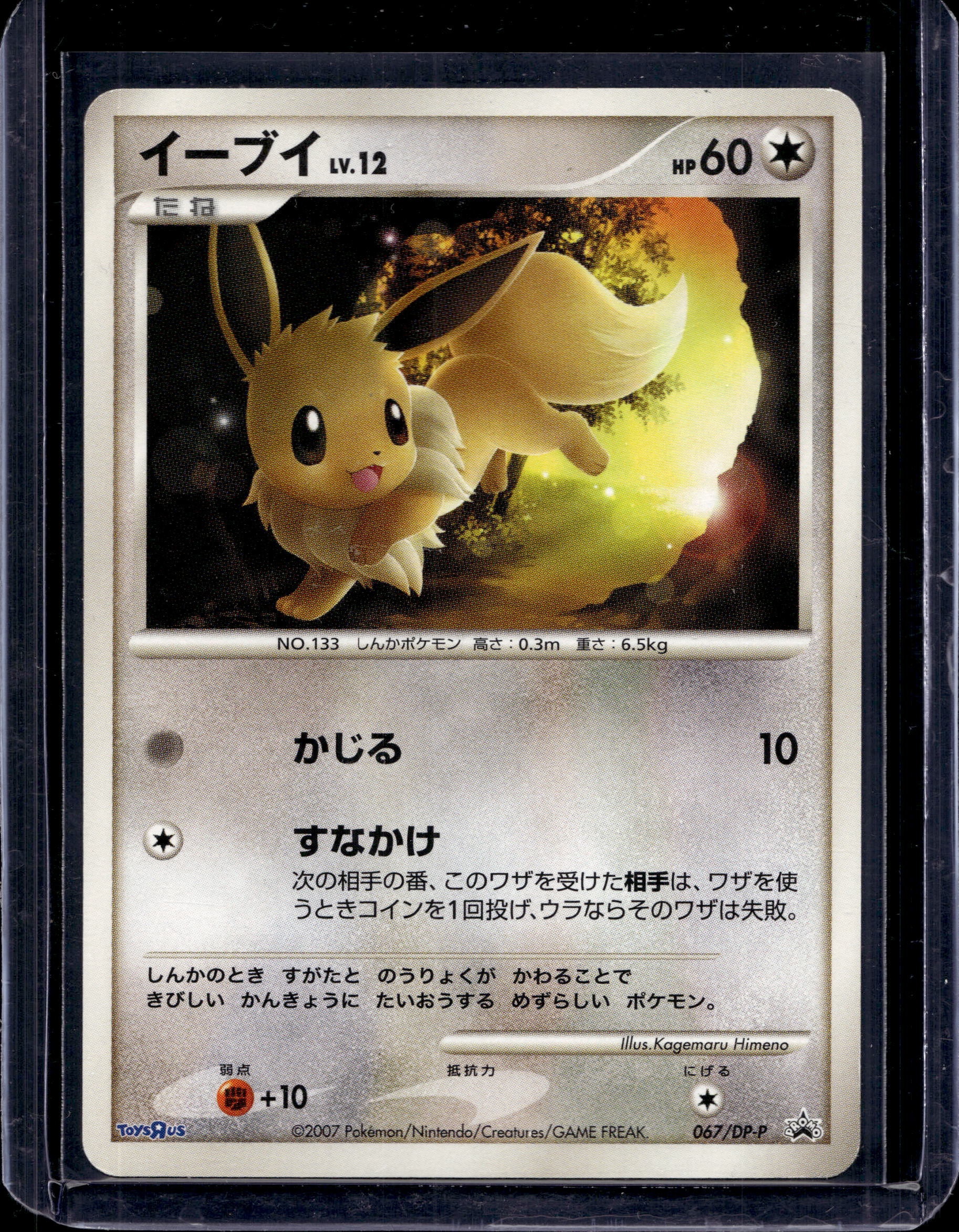 Eevee (JP) 067/DP-P Raw - RookieLegends