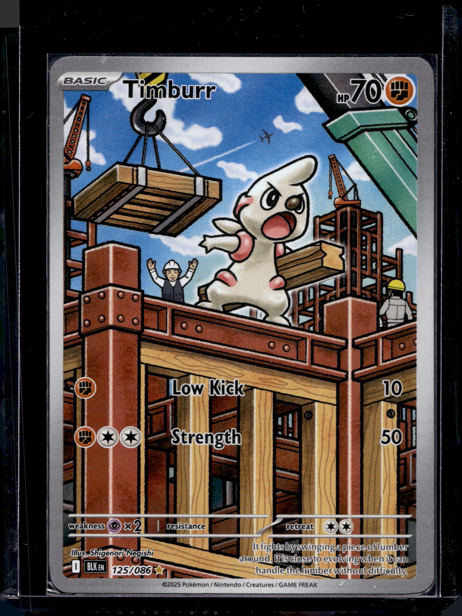 Timburr 125/086 Raw RookieLegends