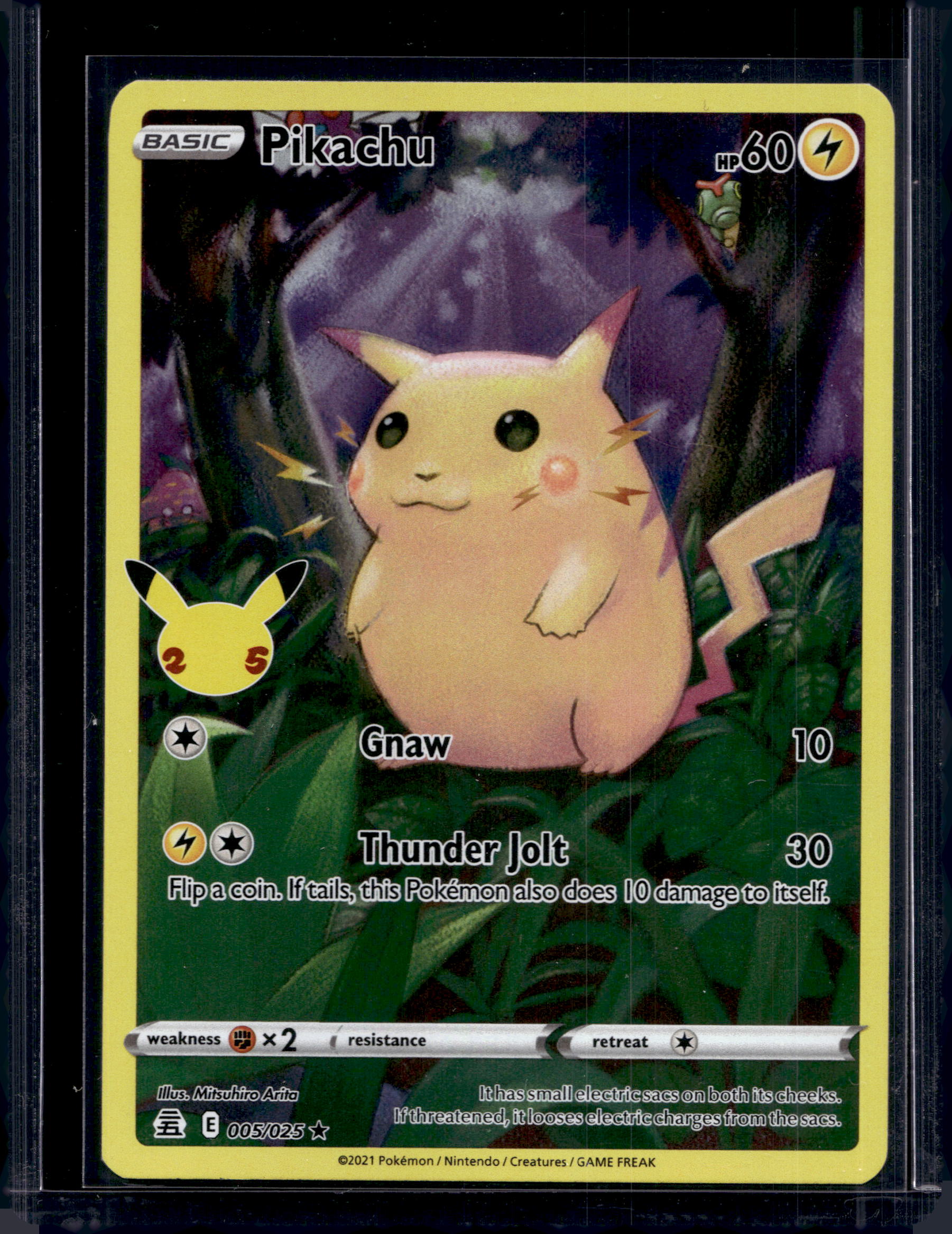 Pikachu 005/025 Raw RookieLegends