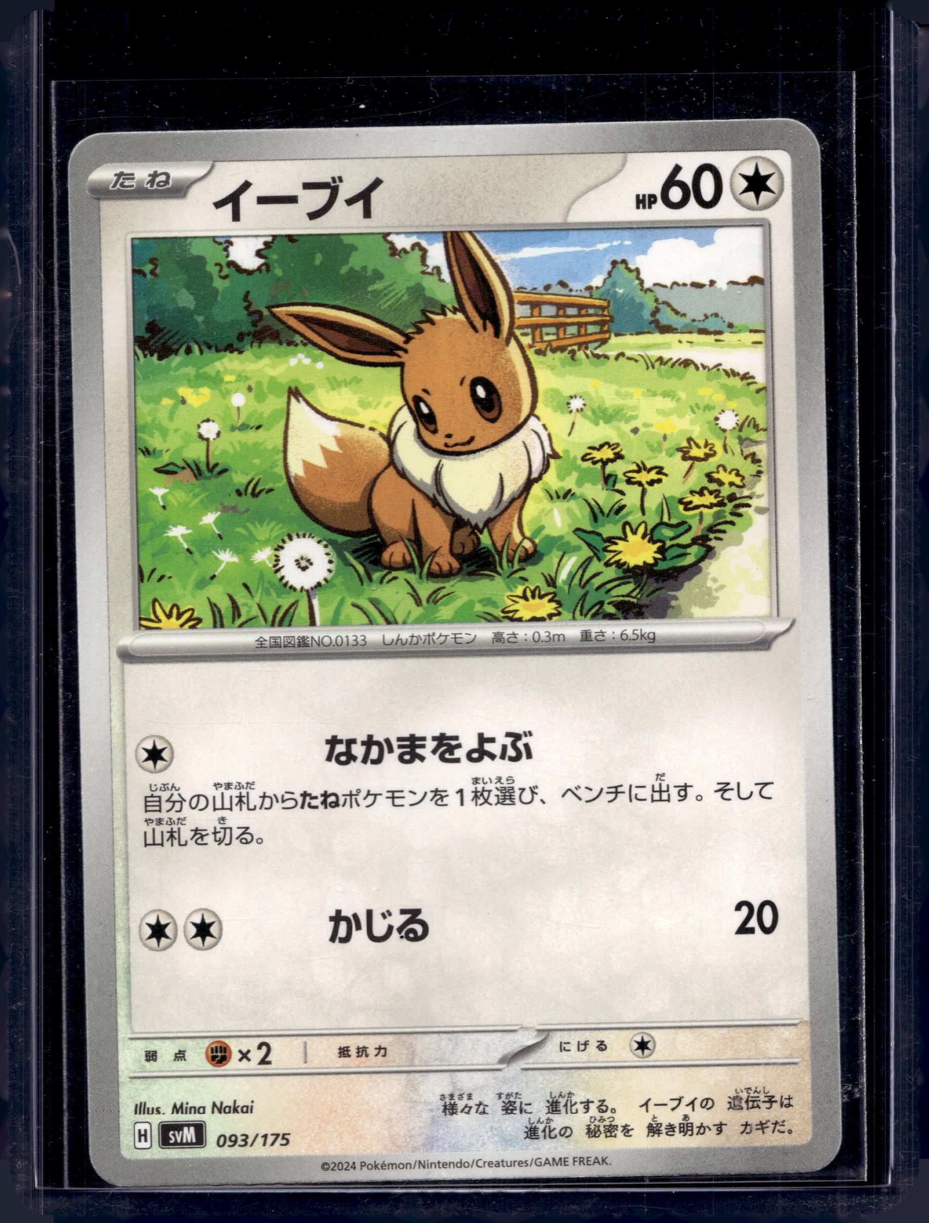 Eevee (JP) 093/175 Raw RookieLegends