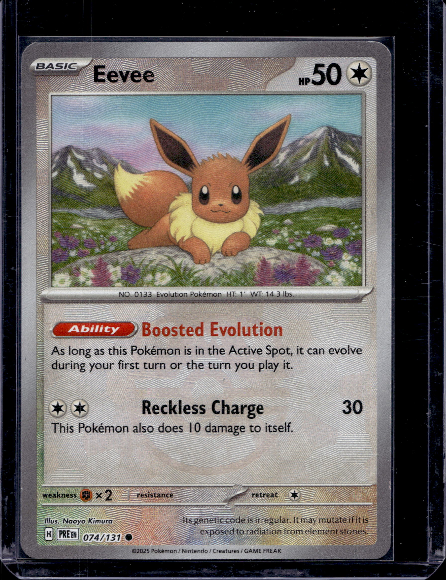 Eevee - Master Ball Pattern 074/131 Raw RookieLegends