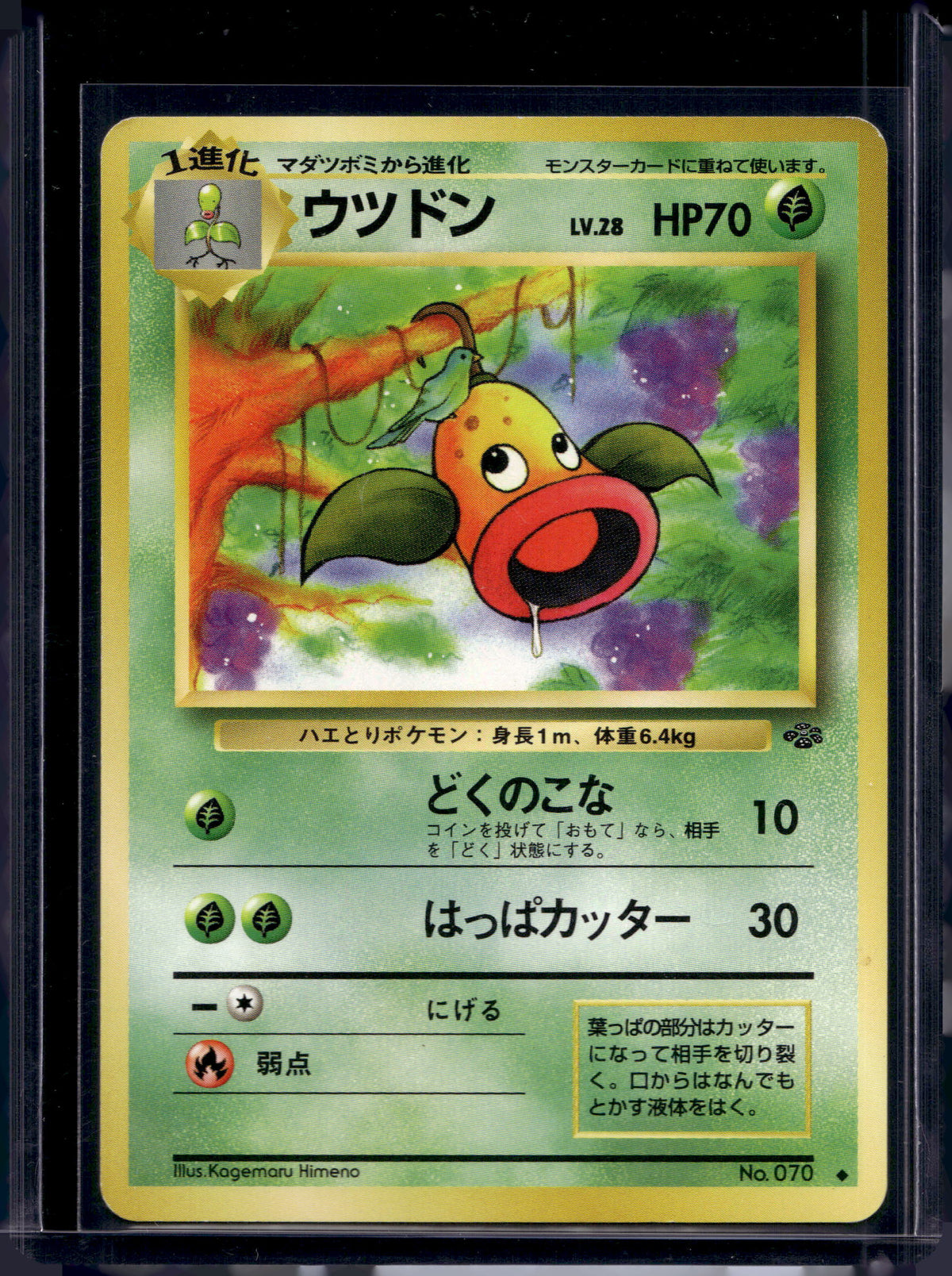Weepinbell (Jungle - Japanese - Unlimited) No.070 Raw