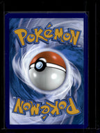 Team Rocket's Raticate 202/182 Raw RookieLegends
