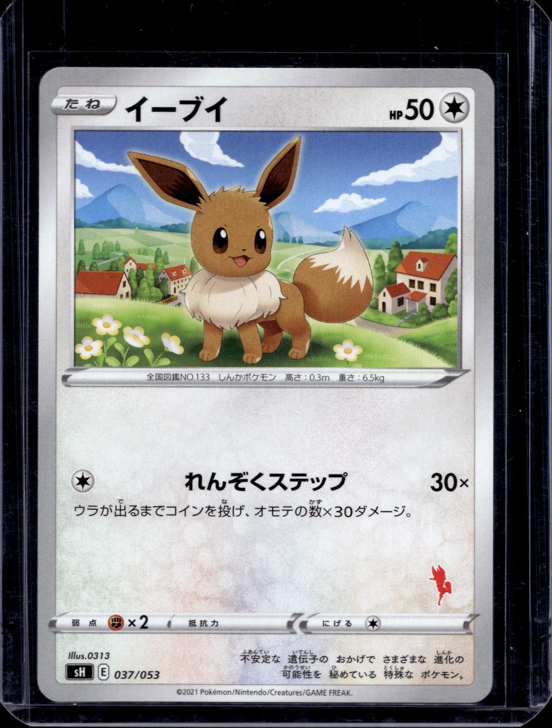 Eevee 037/053 Raw RookieLegends