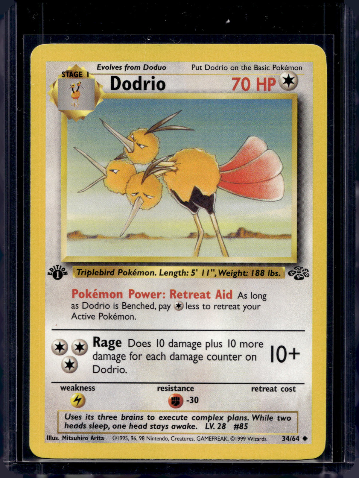 Dodrio (Jungle - 1st Edition Common) 34/64 Raw