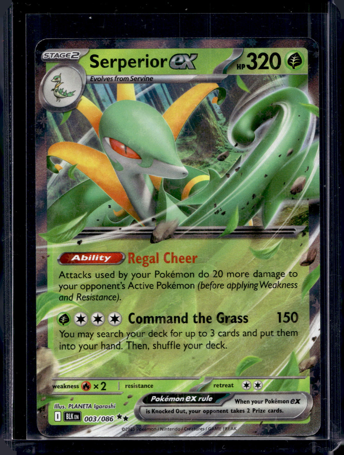 Serperior ex 003/086 Raw RookieLegends