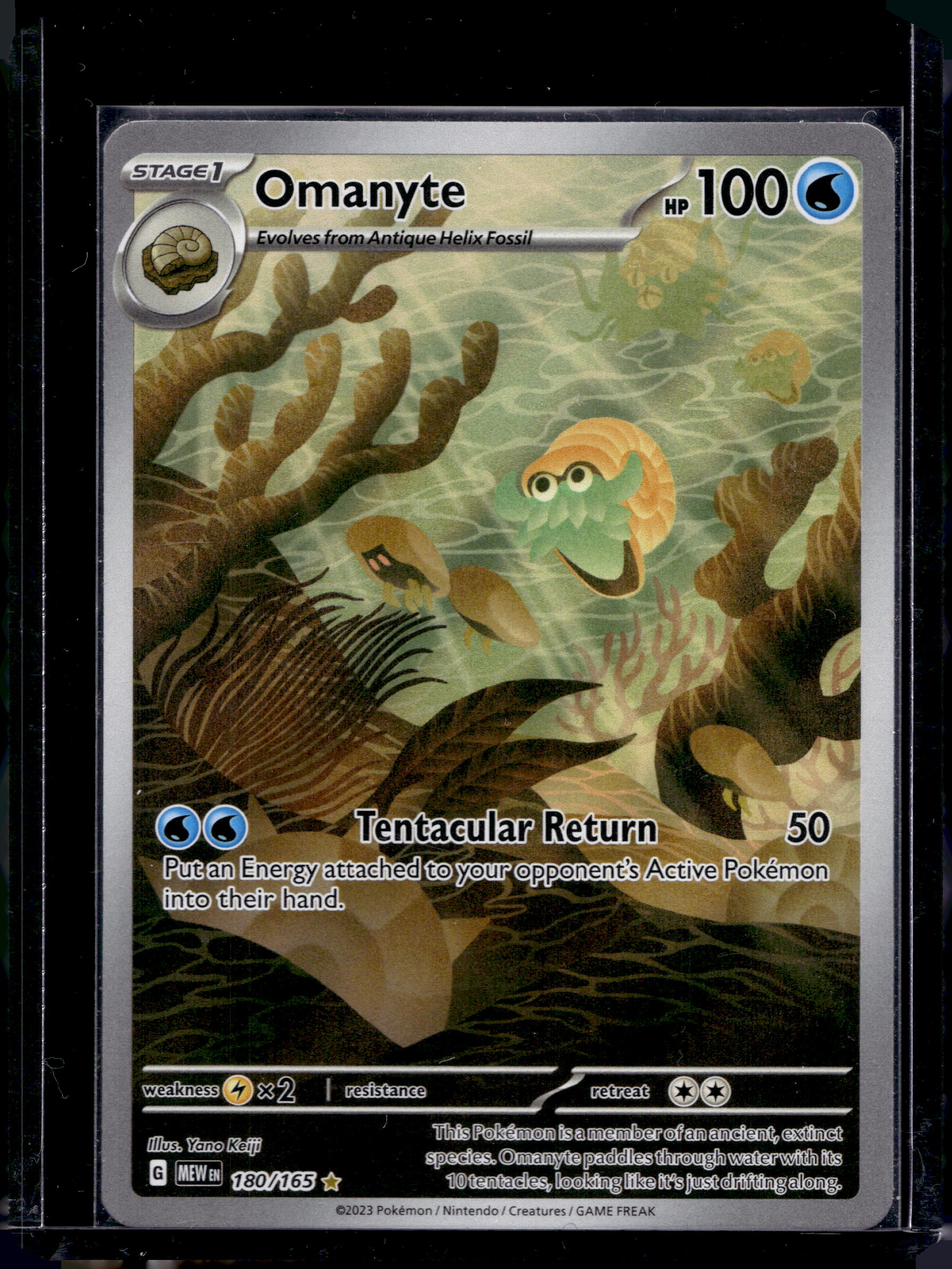 Omanyte 180/165 Raw RookieLegends