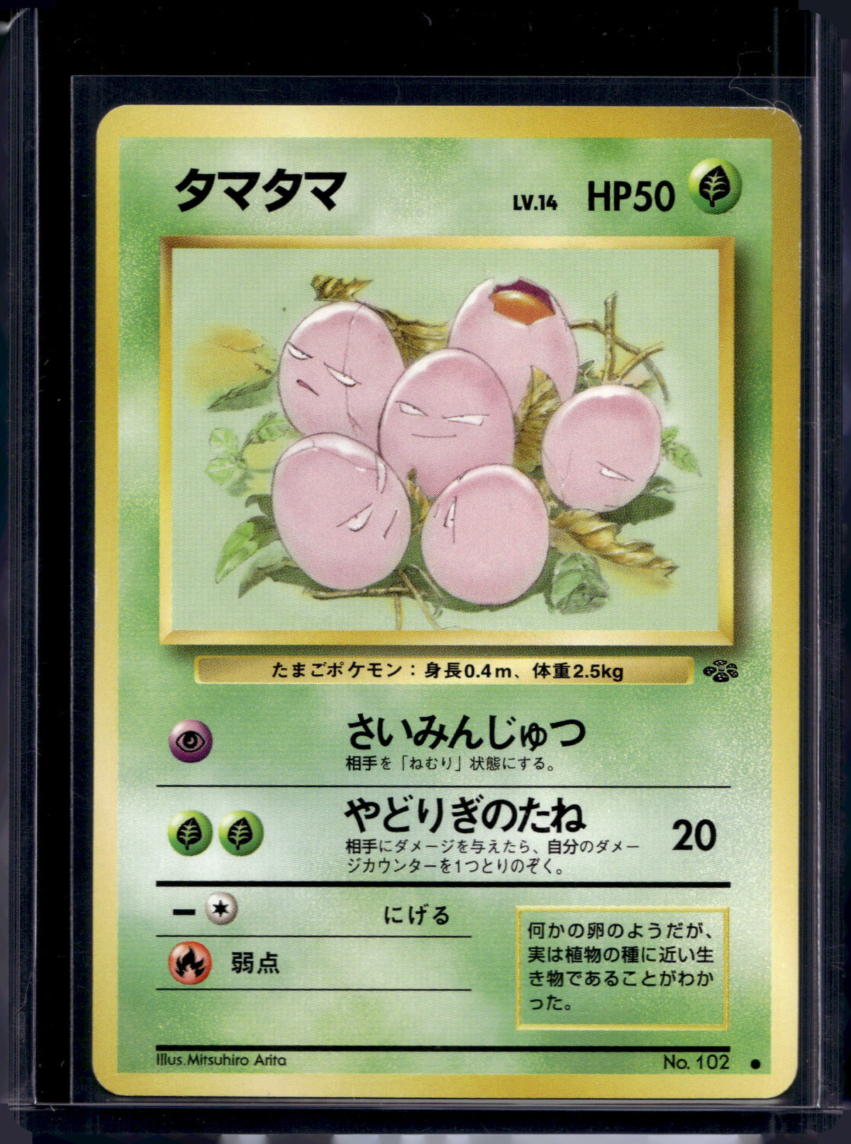 Exeggcute (Jungle - Japanese - Unlimited) No.102 Raw