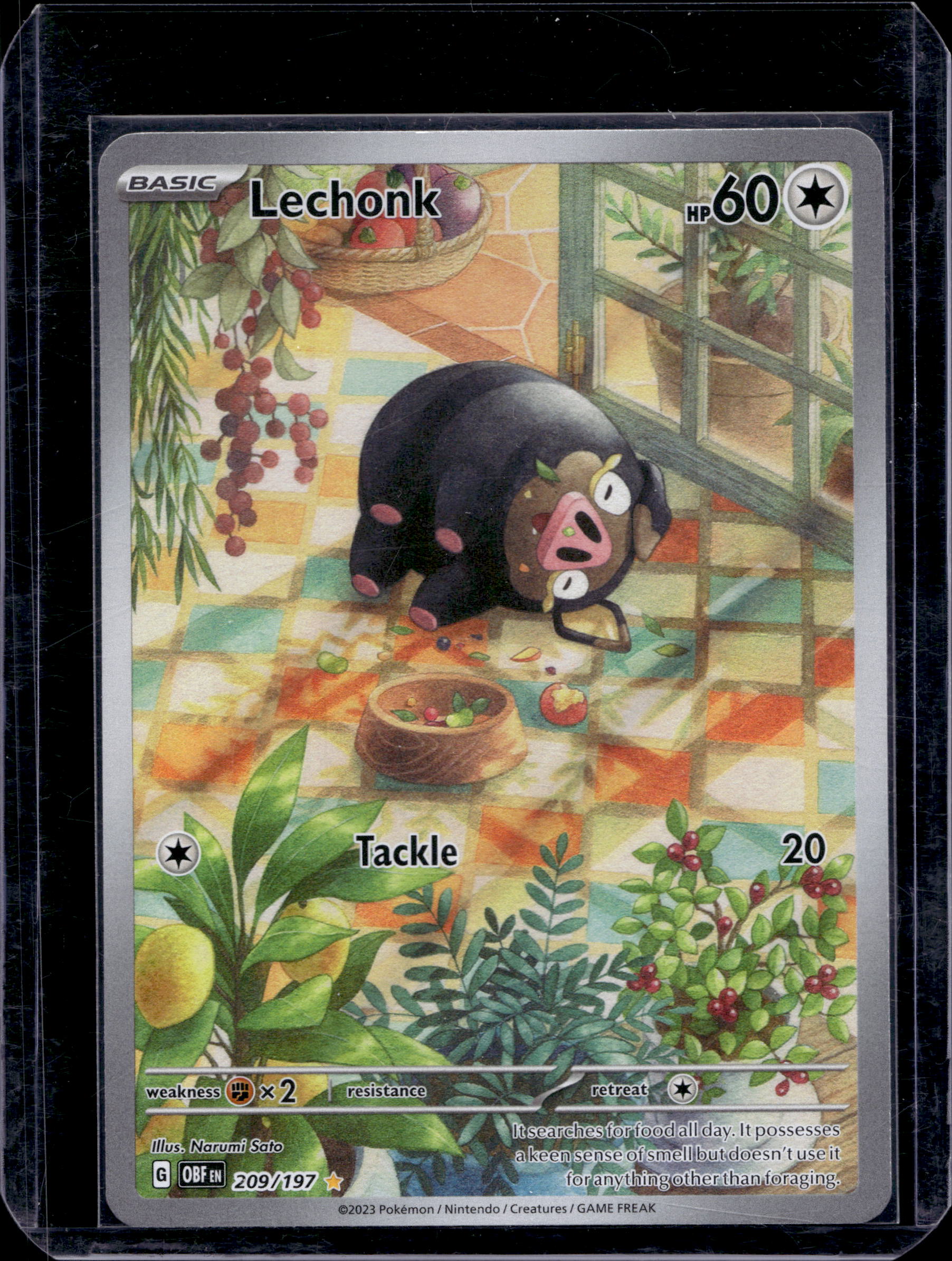 Lechonk 209/197 Raw RookieLegends