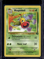Weepinbell (Jungle - Unlimited) 48/64 Raw
