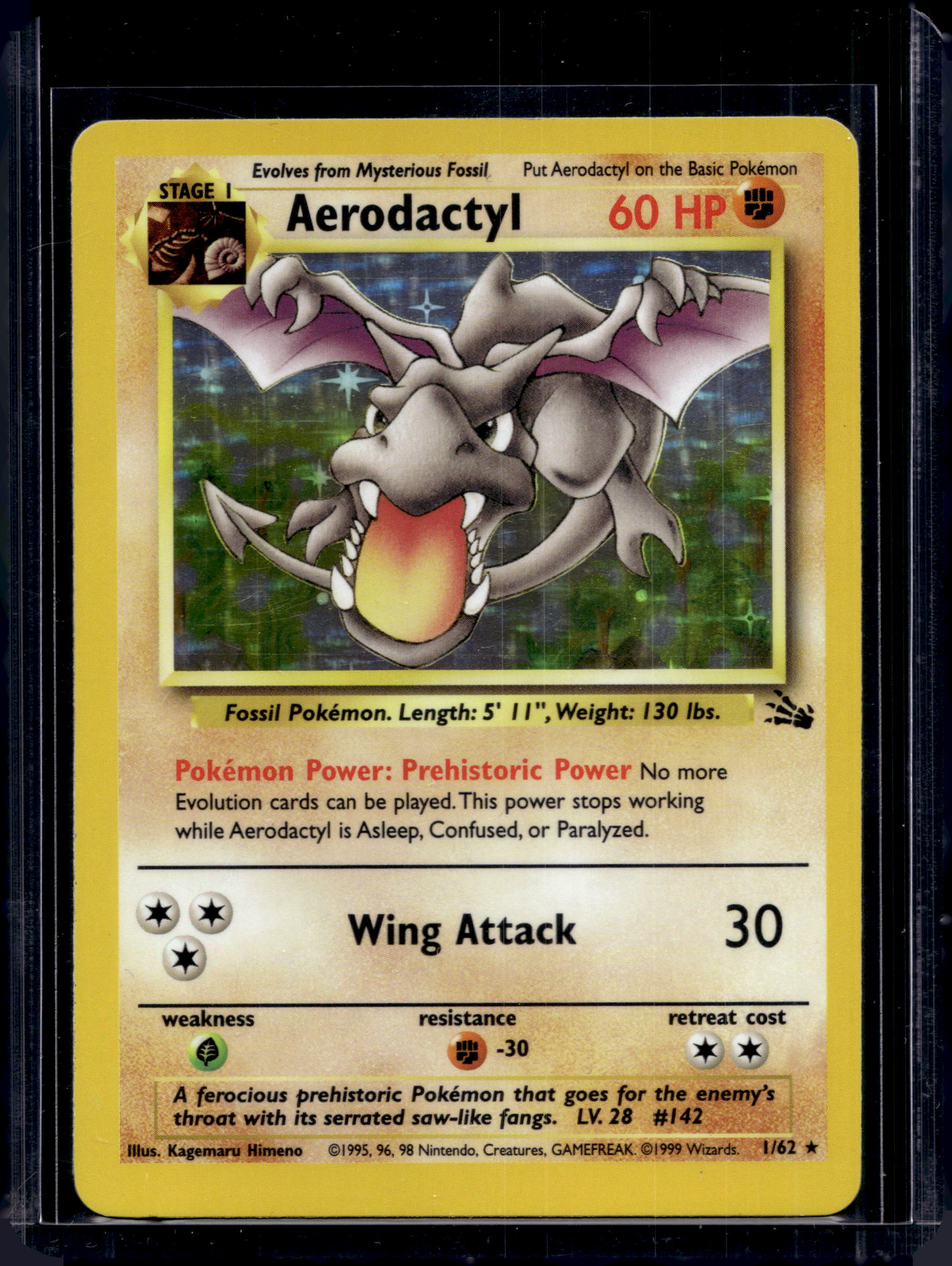 Aerodactyl (Fossil) 1/62 Raw RookieLegends