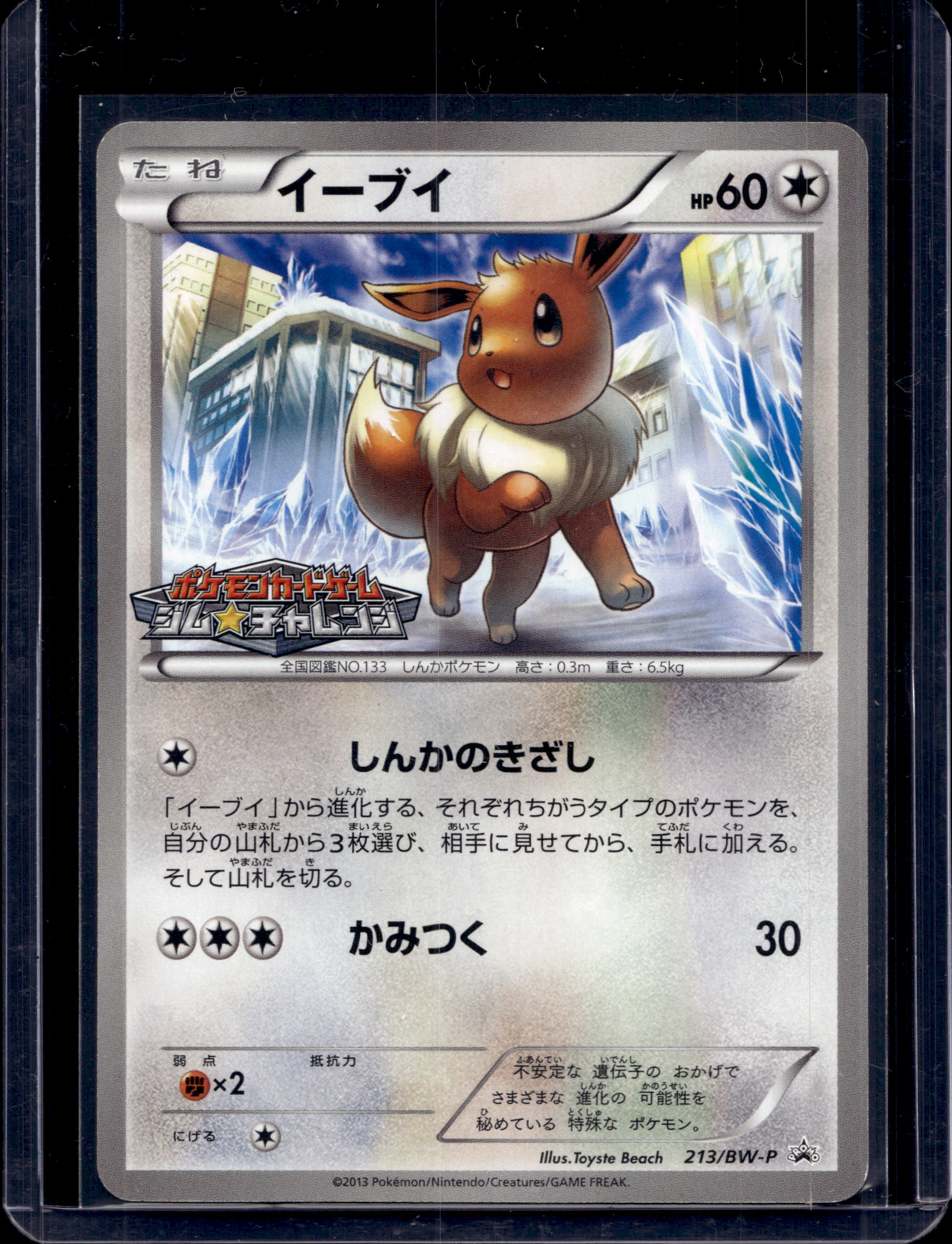Eevee (JP) 213/BW-P Raw - RookieLegends
