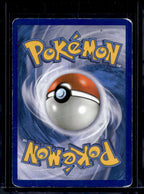 Squirtle 29/149 Raw
