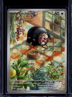 Lechonk 209/197 Raw