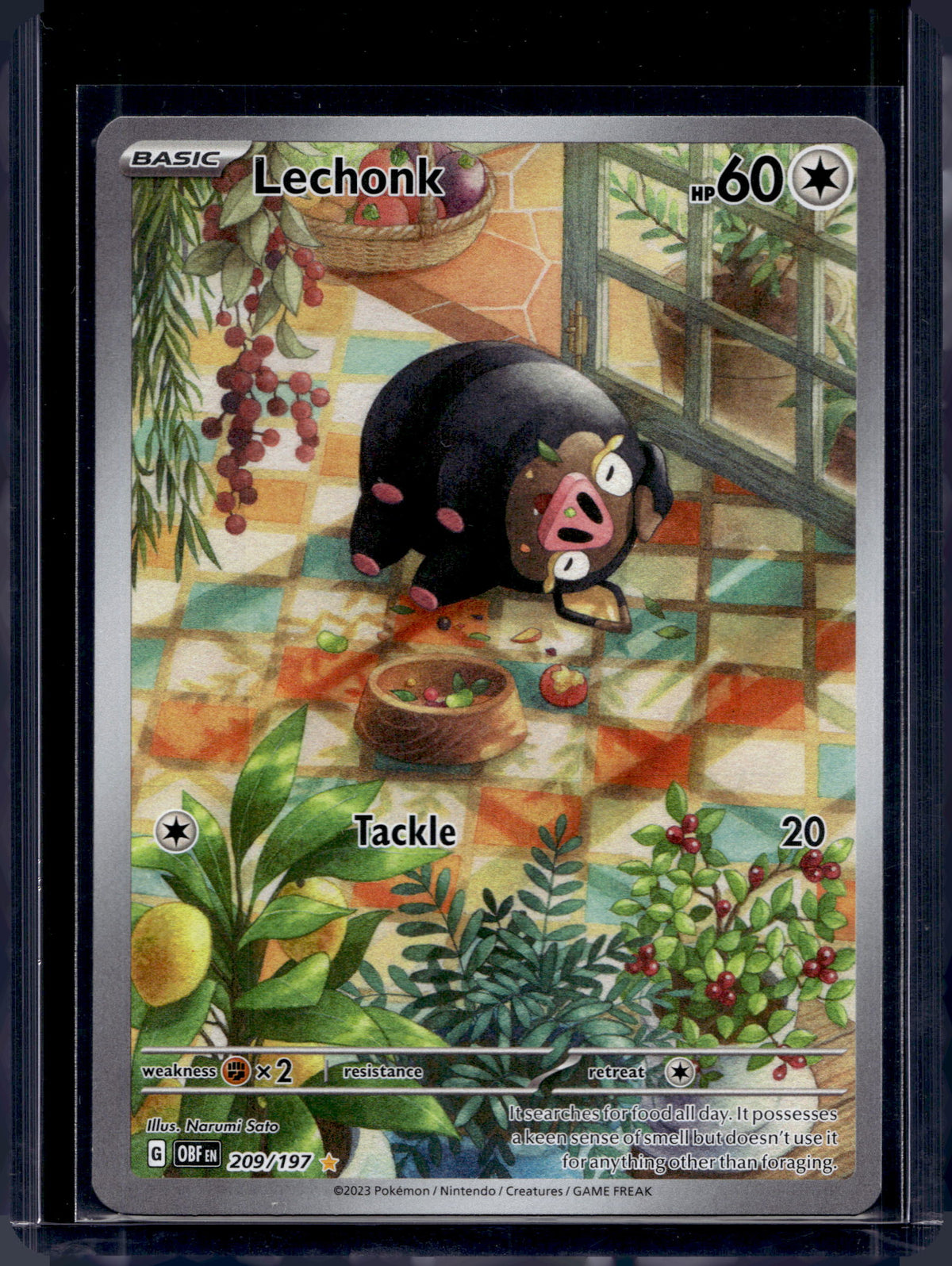 Lechonk 209/197 Raw