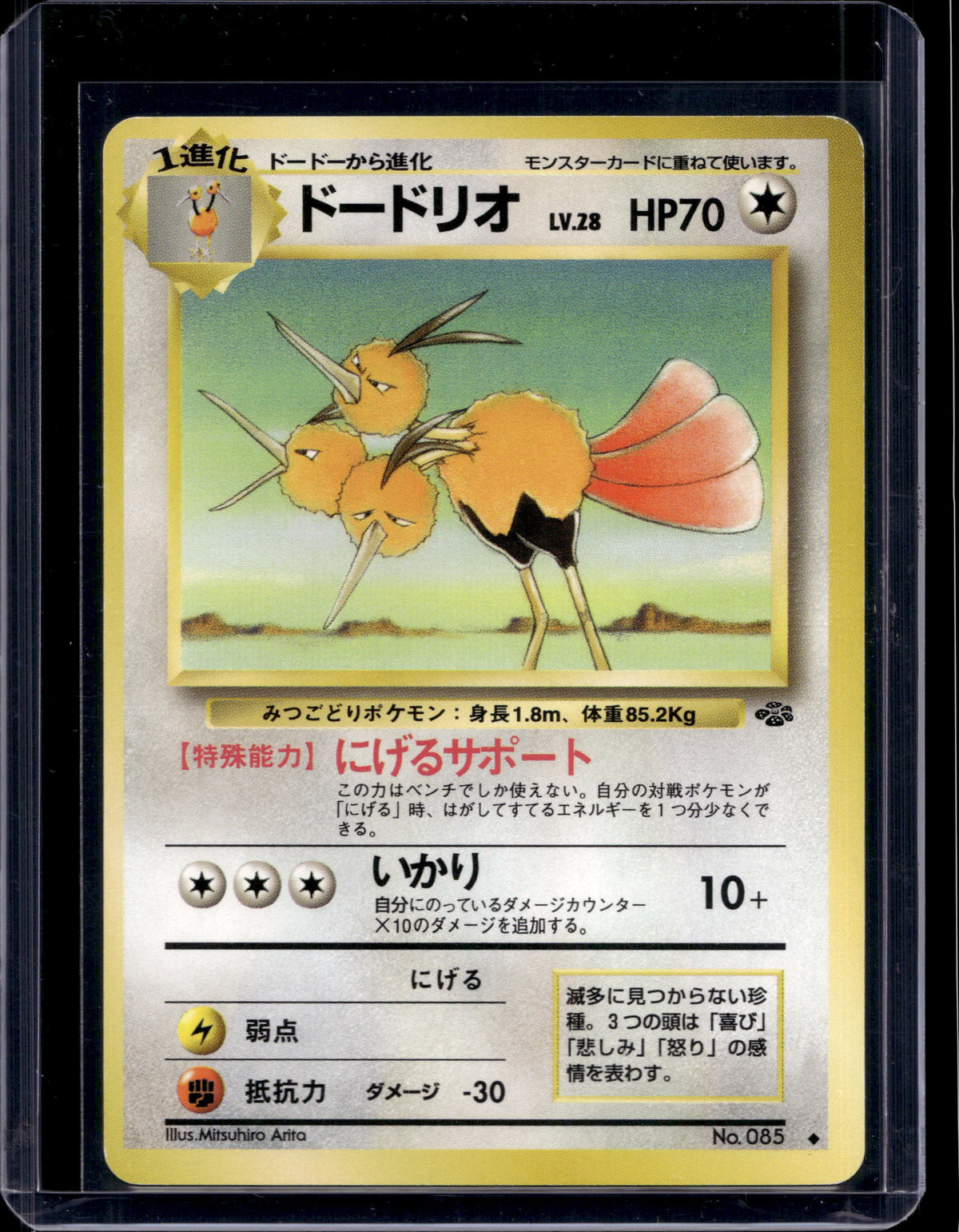 Dodrio (Jungle - Japanese - Unlimited) No.085 Raw