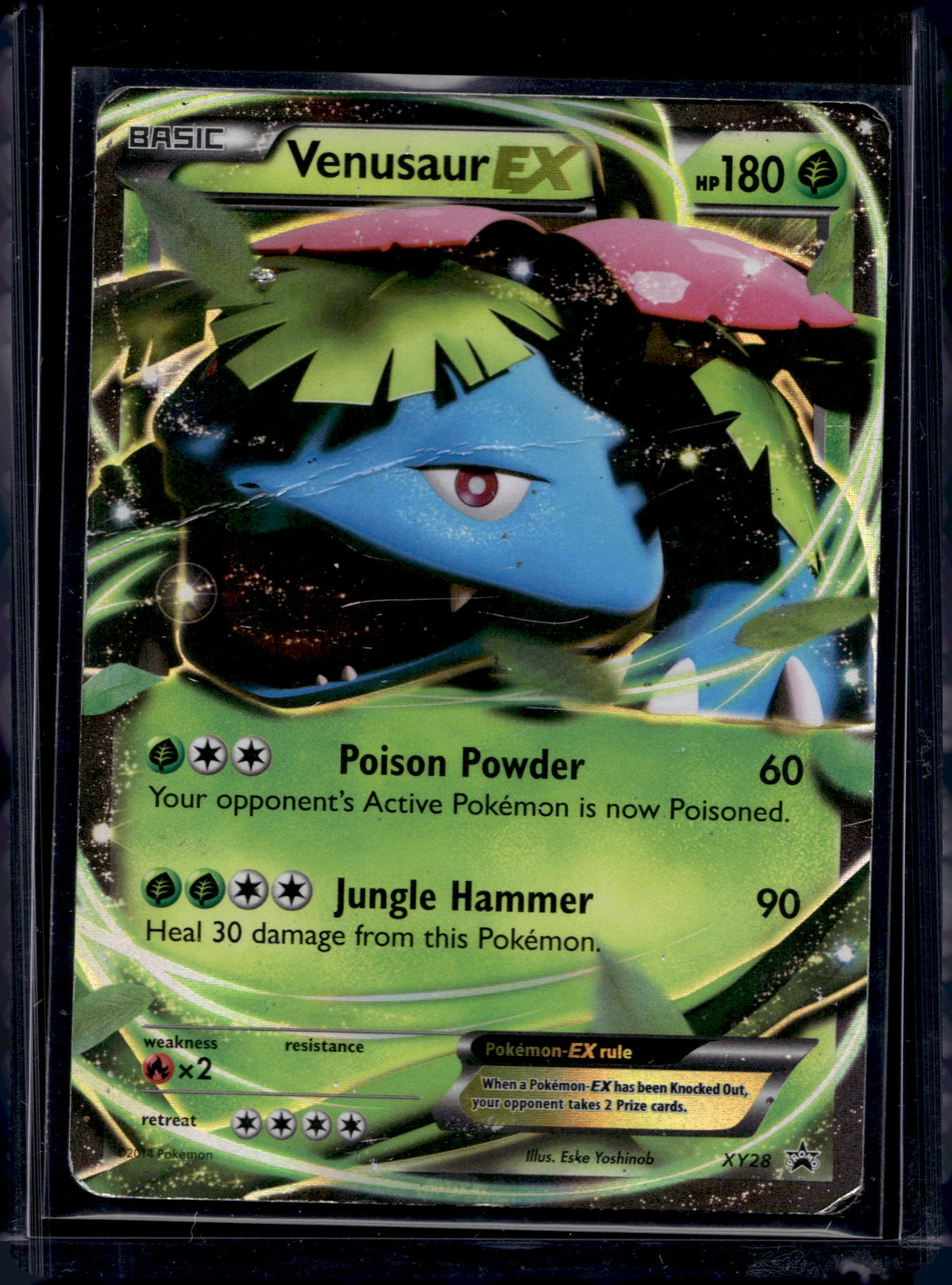 Venusaur EX - Holofoil - XY28 Raw