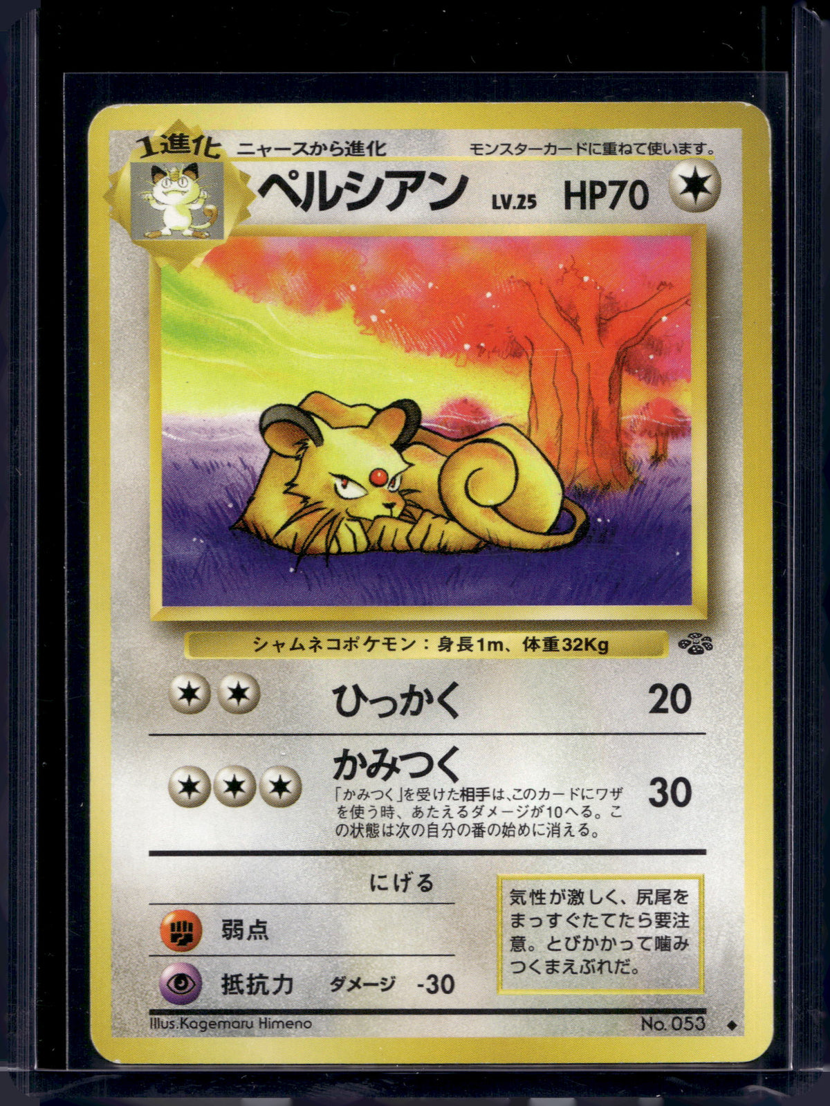Persian (Jungle - Japanese - Unlimited) No.053 Raw