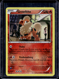 Growlithe 10 Raw RookieLegends
