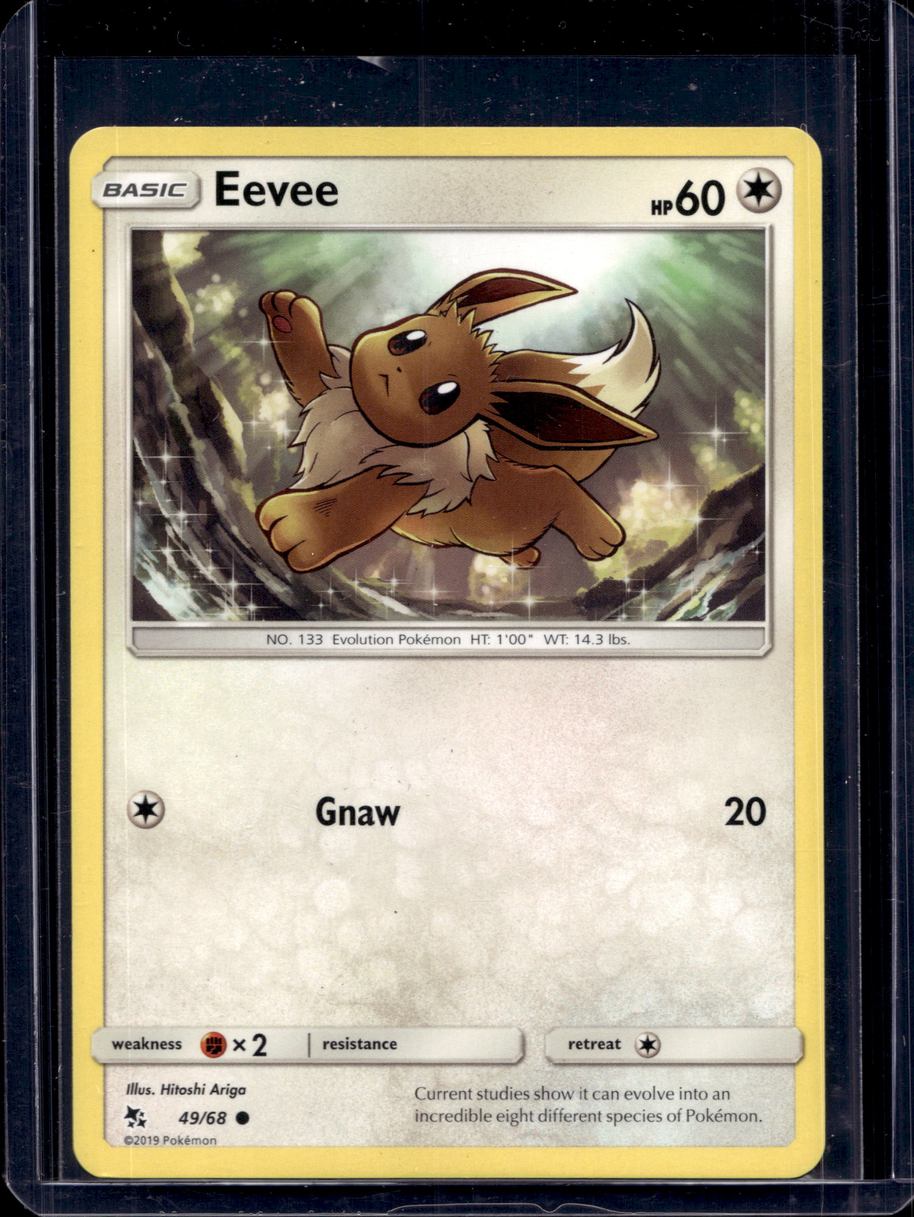 Eevee 49/68 Normal Raw - RookieLegends