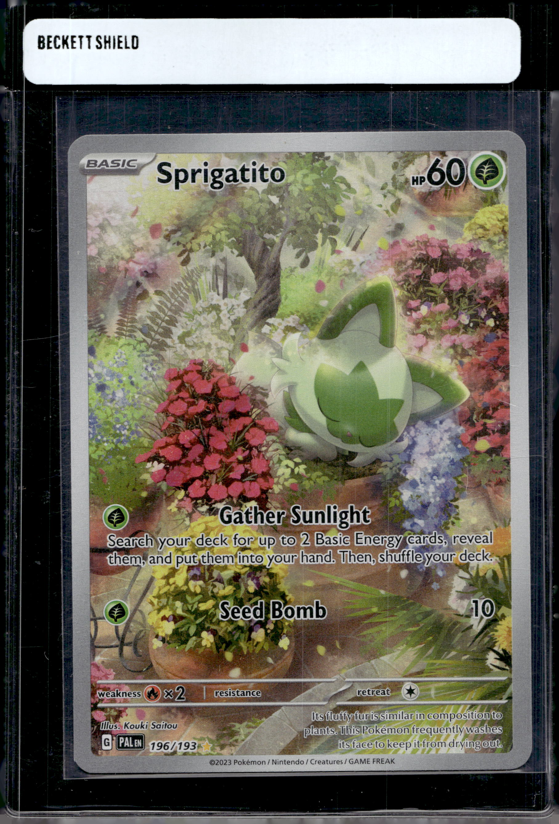 Sprigatito 196/193 Raw RookieLegends