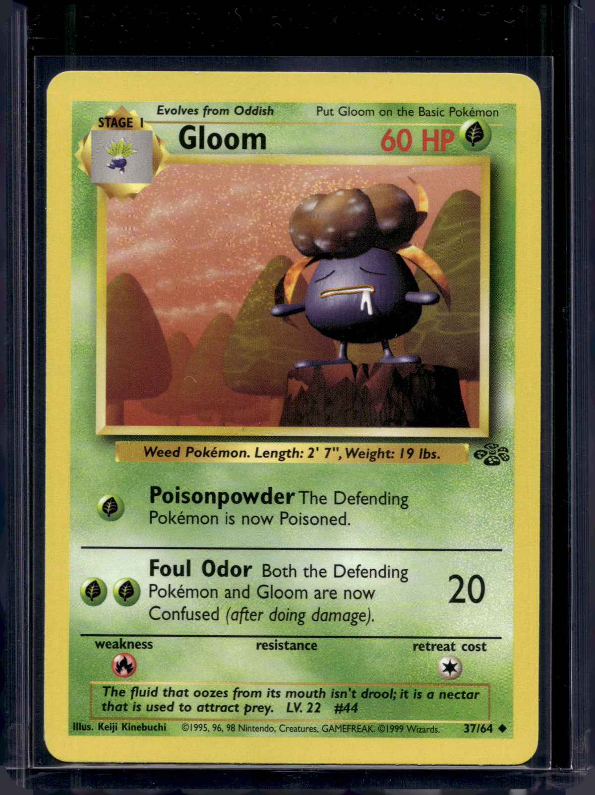 Gloom (Jungle - Unlimited) 37/64 Raw