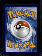 Eevee SWSH095 Raw RookieLegends