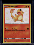 Charmander SV6/SV94 Raw