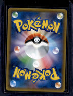 Eevee & Snorlax GX (JP) 297/SM-P Raw - RookieLegends