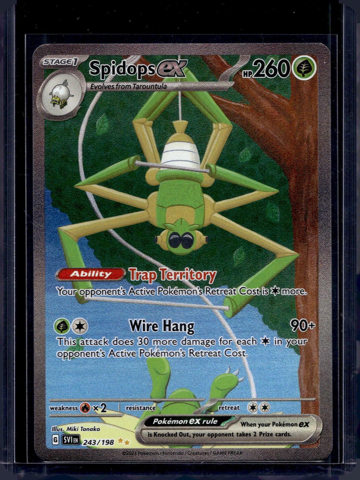Spidops ex 243/198 Raw
