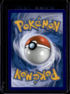 Eevee & Snorlax GX SM169 Raw - RookieLegends