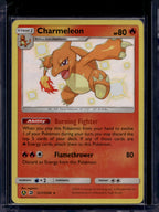 Charmeleon SV7/SV94 Raw