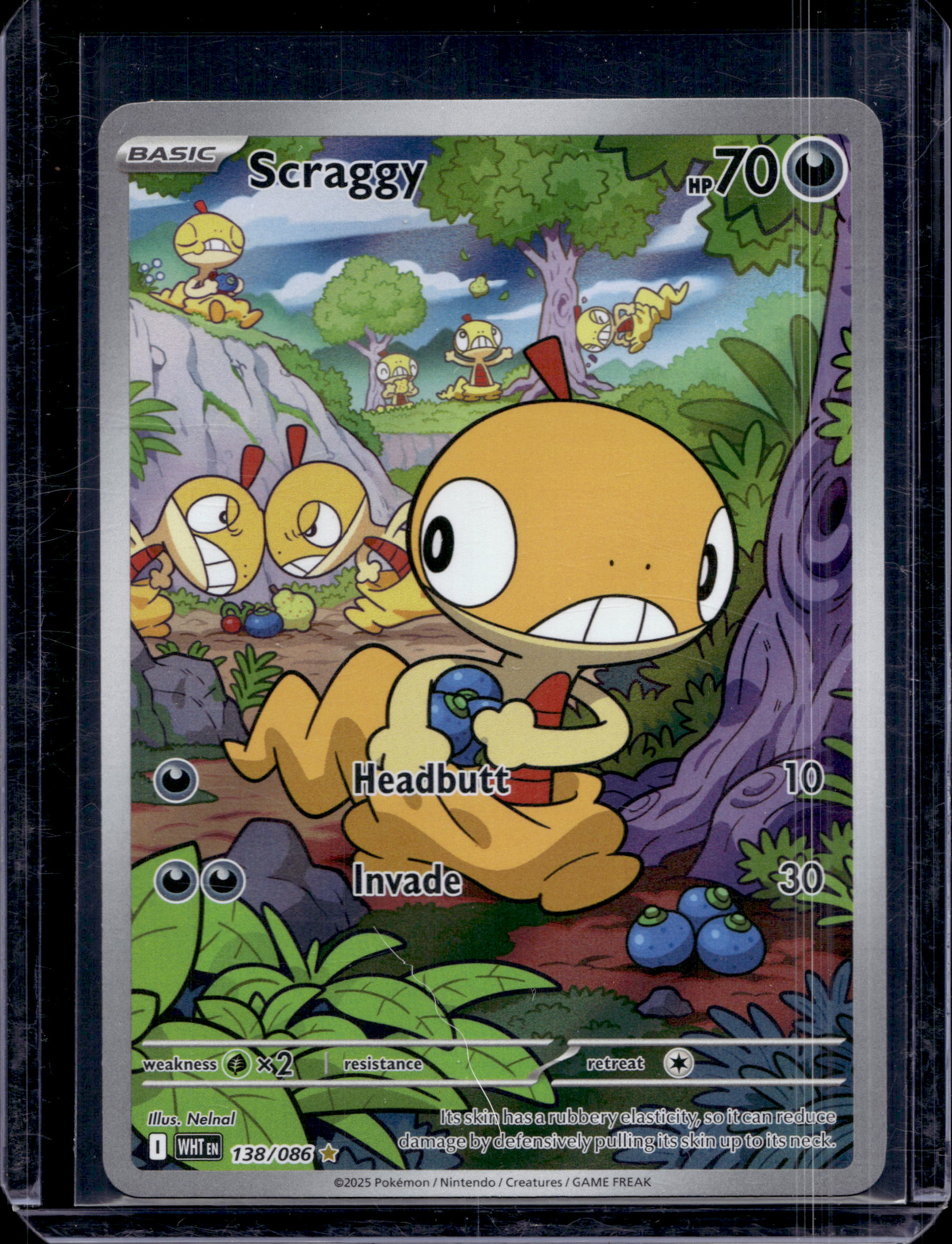 Scraggy 138/086 raw